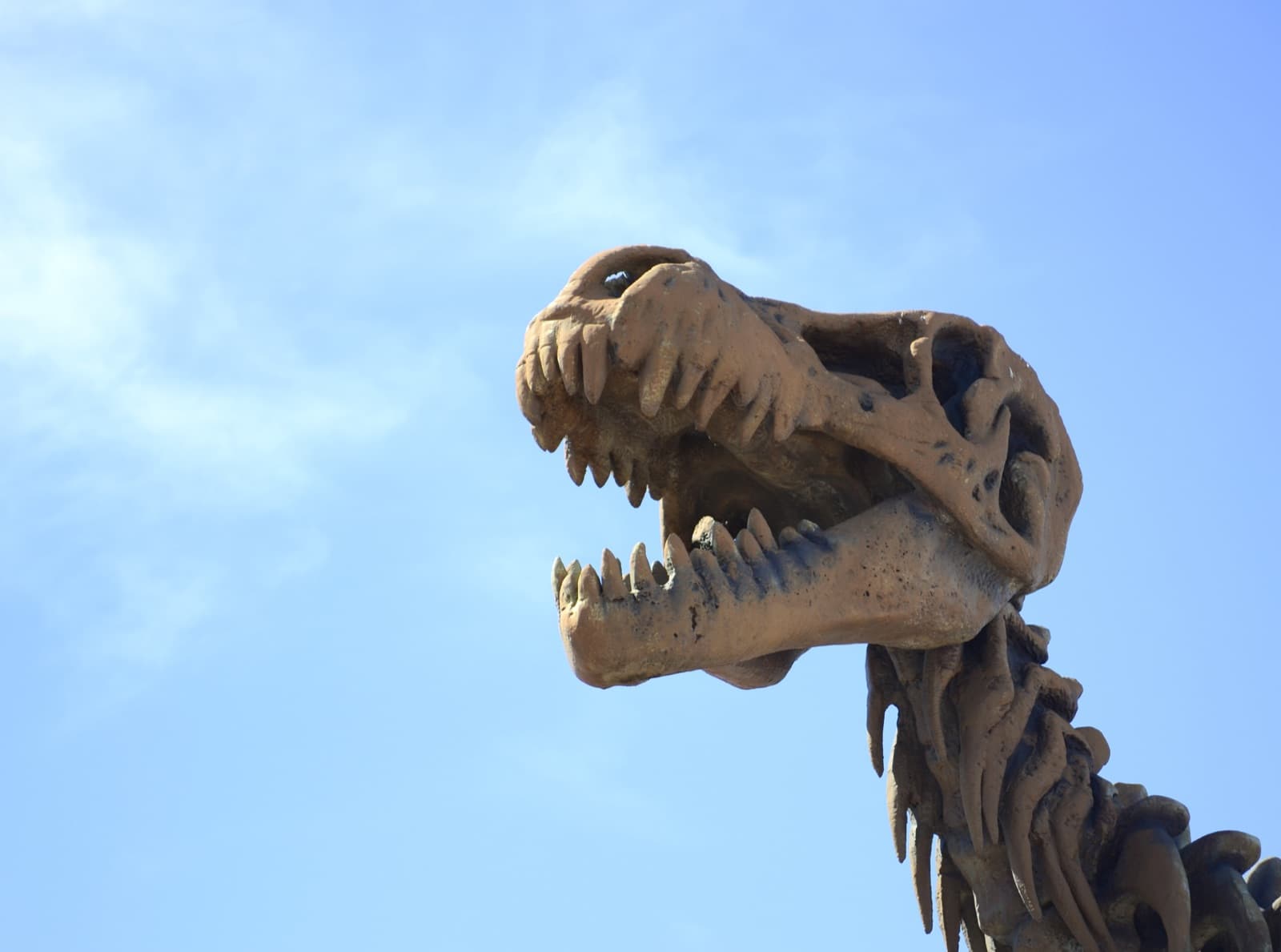 Dinosaurs Will Die. Our 2023 Story