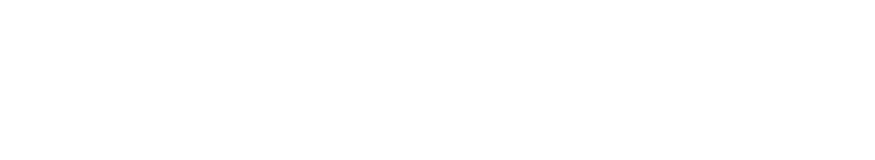 Swisspreneur